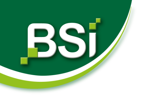 BSI BSI